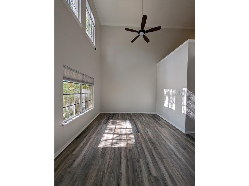 5202 Hampton Beach Place Tampa FL 33609 W7881473 image4