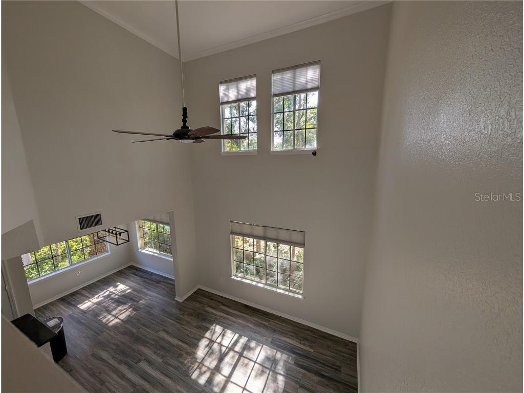 5202 Hampton Beach Place Tampa FL 33609 W7881473 image6