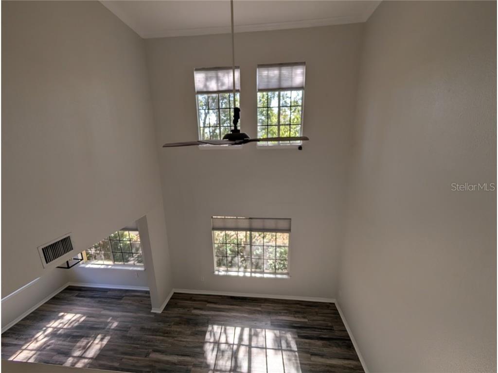 5202 Hampton Beach Place Tampa FL 33609 W7881473 image7