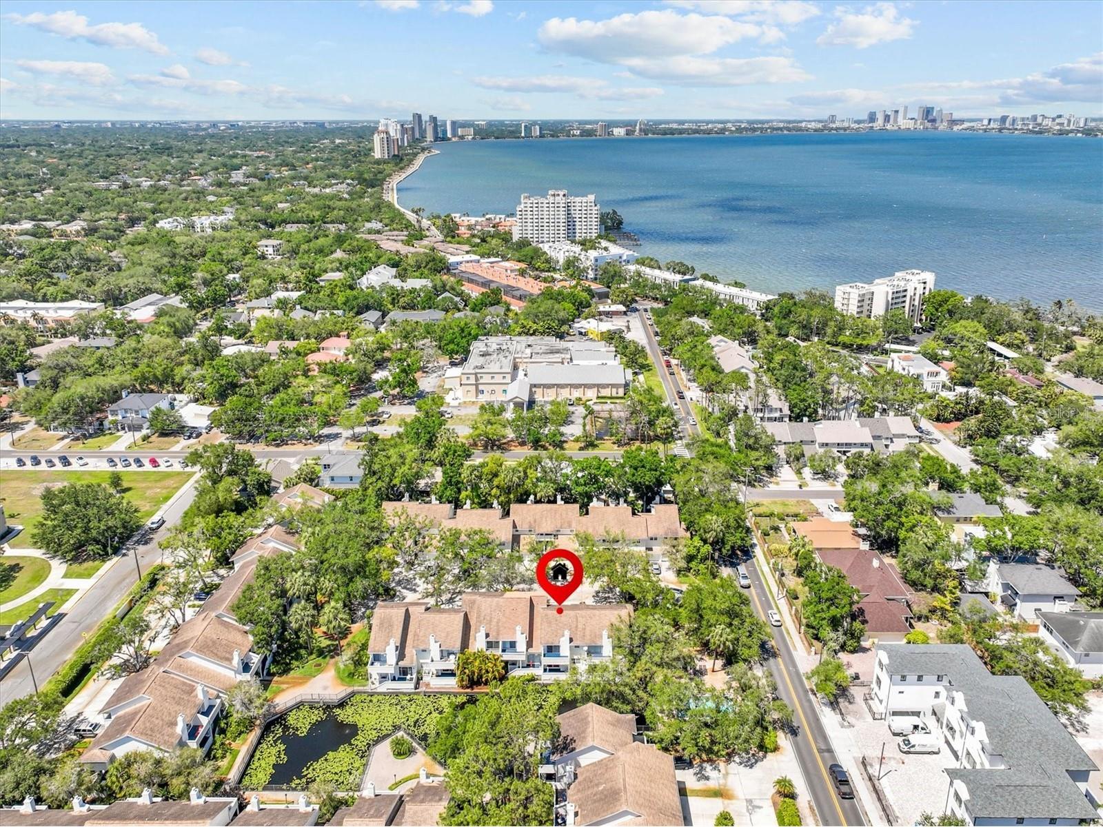 5203 Bayshore Boulevard #14 Tampa FL 33611 TB8500687 image2