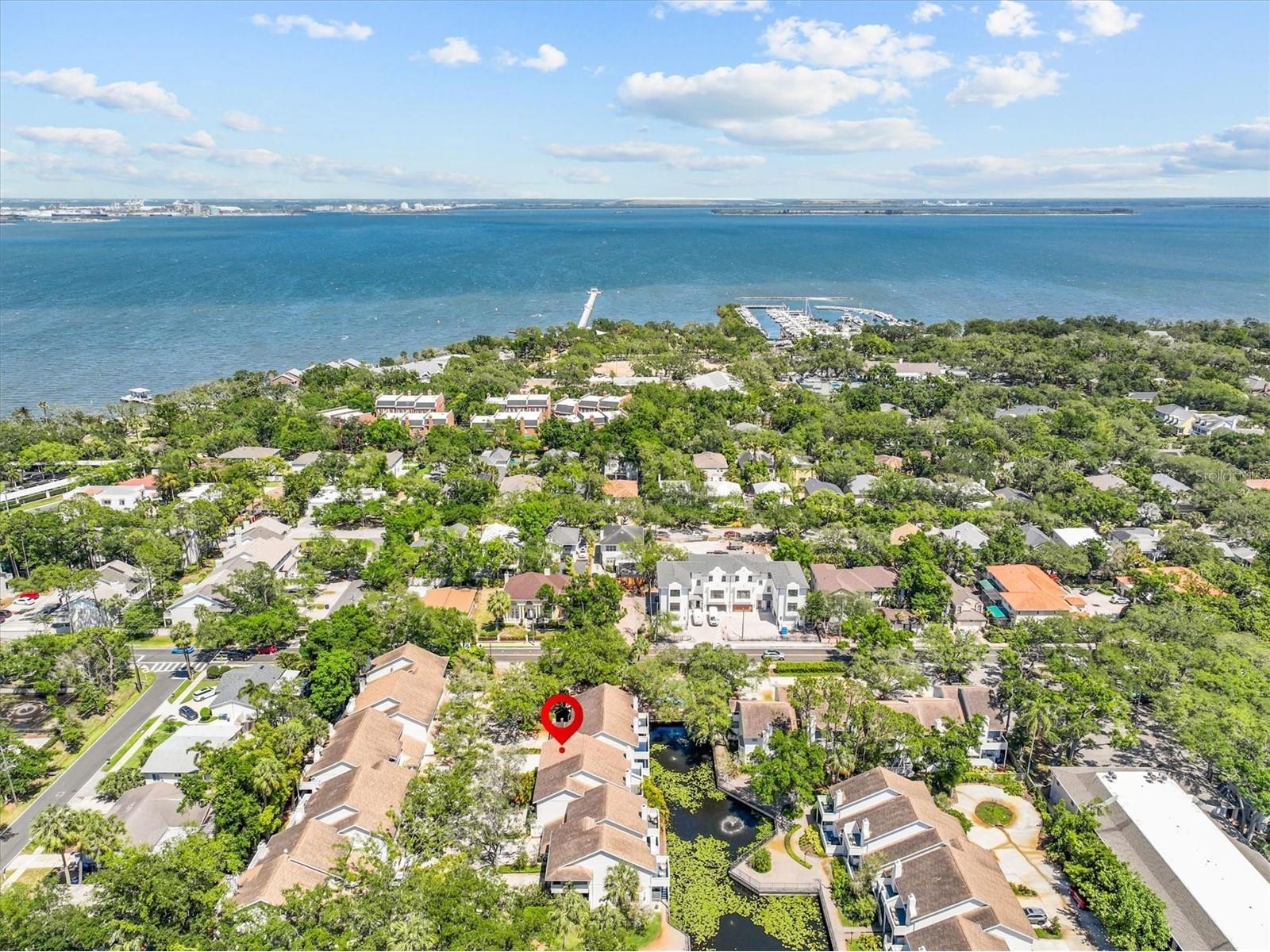 5203 Bayshore Boulevard #14 Tampa FL 33611 TB8500687 image45