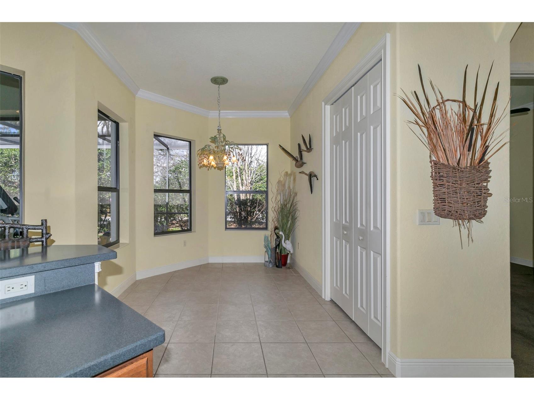 5203 Grove Manor Lady Lake FL 32159 NS1087200 image18