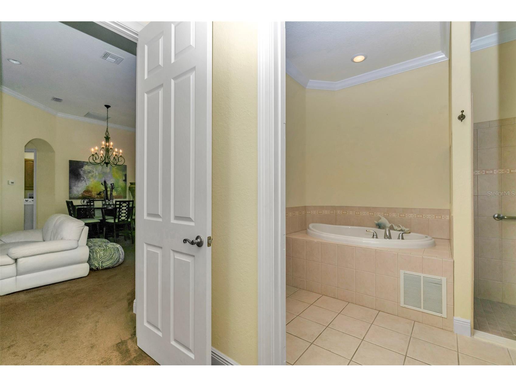 5203 Grove Manor Lady Lake FL 32159 NS1087200 image19
