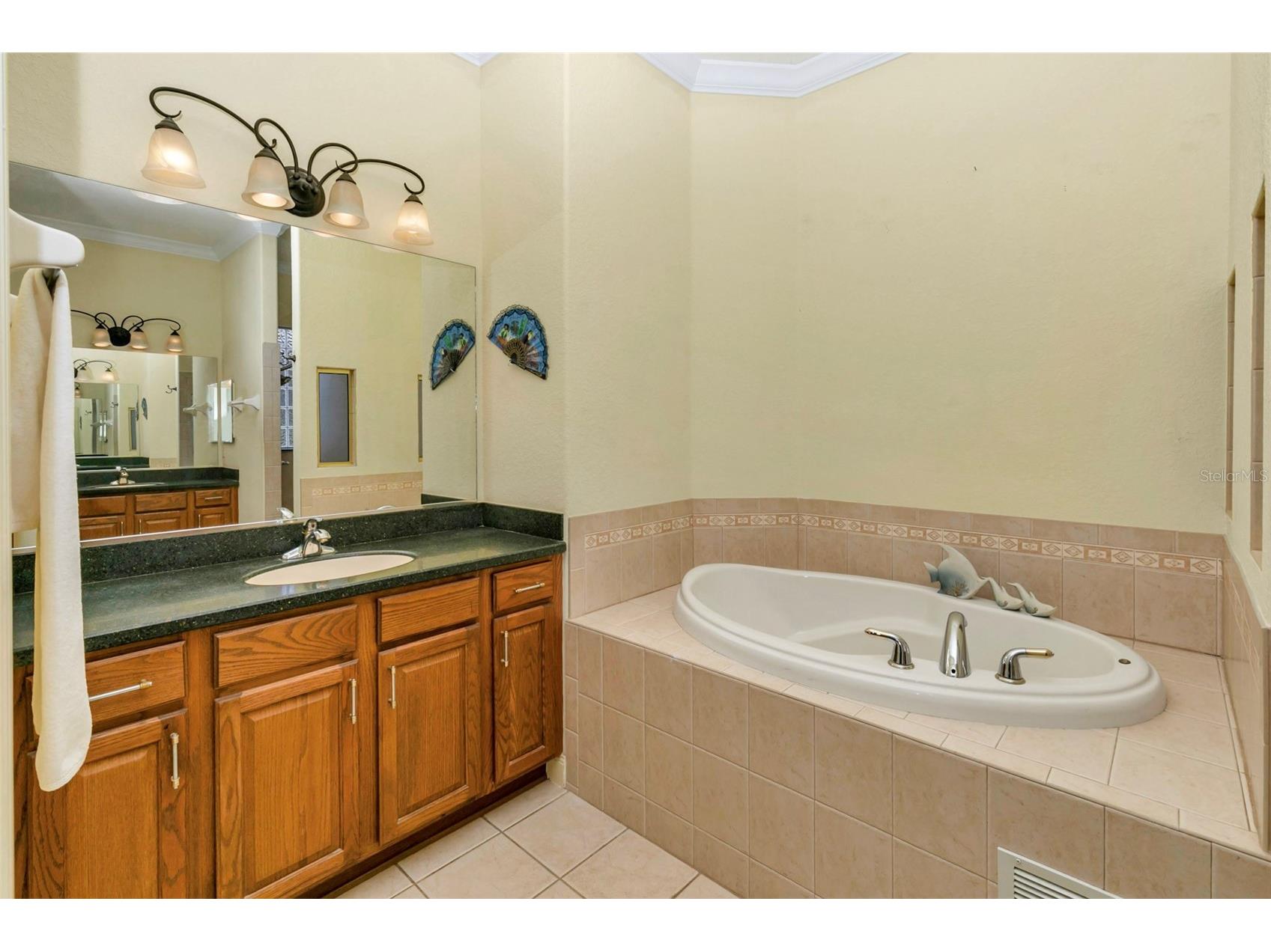 5203 Grove Manor Lady Lake FL 32159 NS1087200 image23
