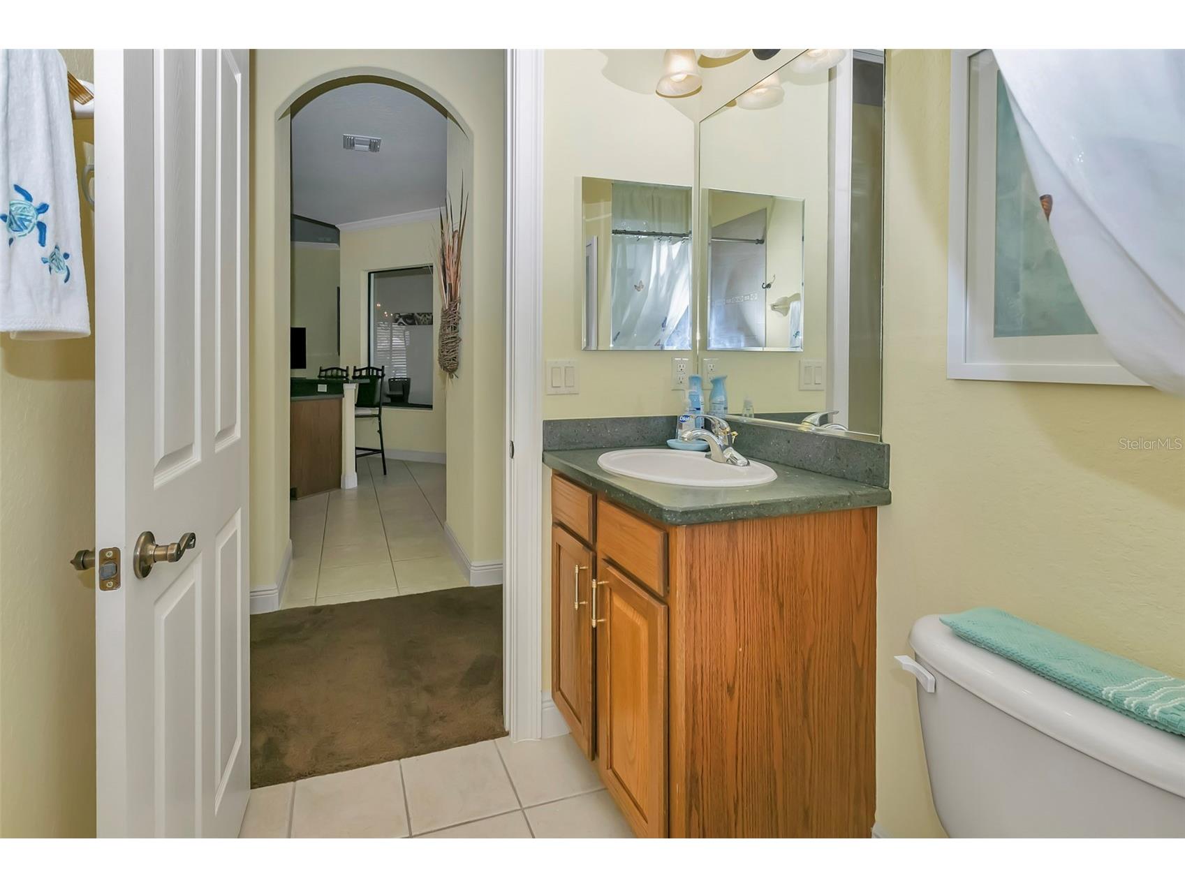 5203 Grove Manor Lady Lake FL 32159 NS1087200 image32