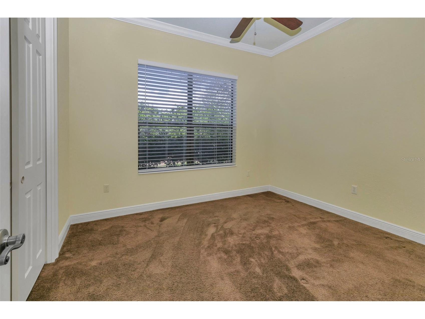 5203 Grove Manor Lady Lake FL 32159 NS1087200 image34