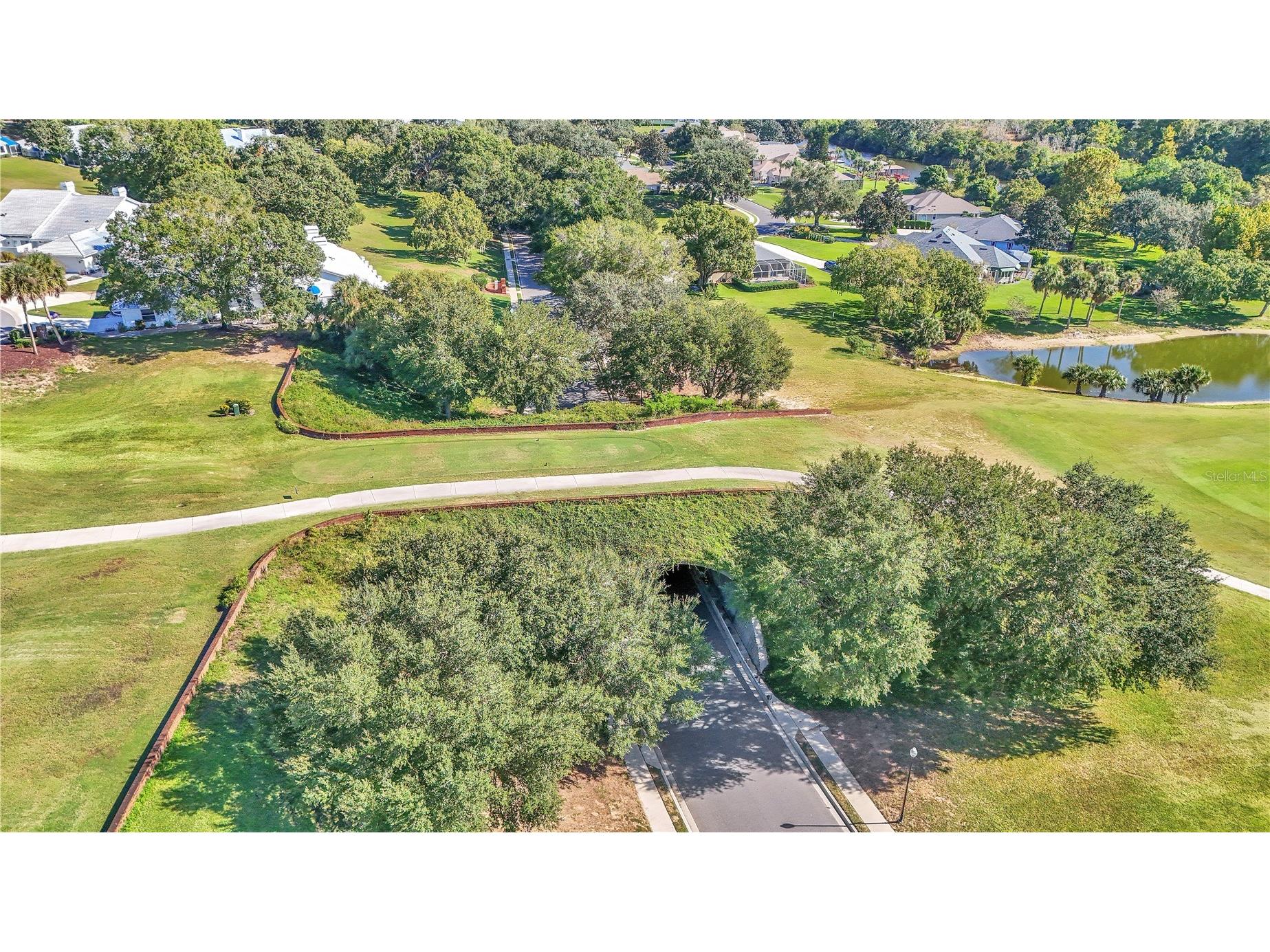 5203 Grove Manor Lady Lake FL 32159 NS1087200 image59