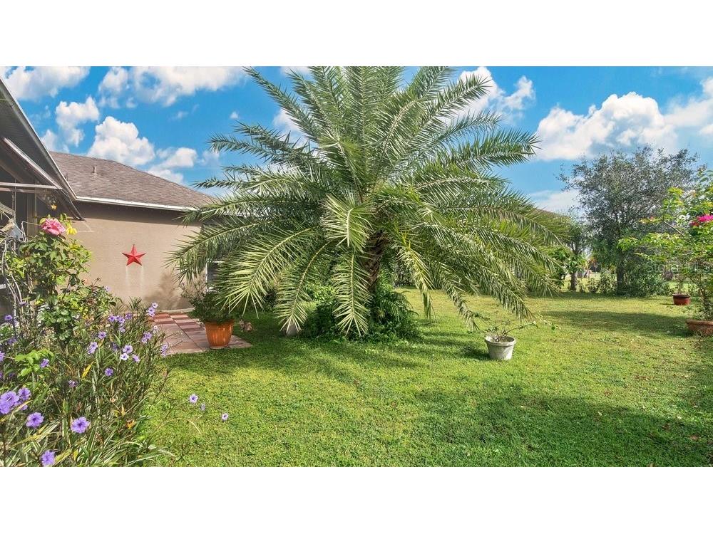 5203 Jasmine Trace Lane Kissimmee FL 34758 O6313316 image23