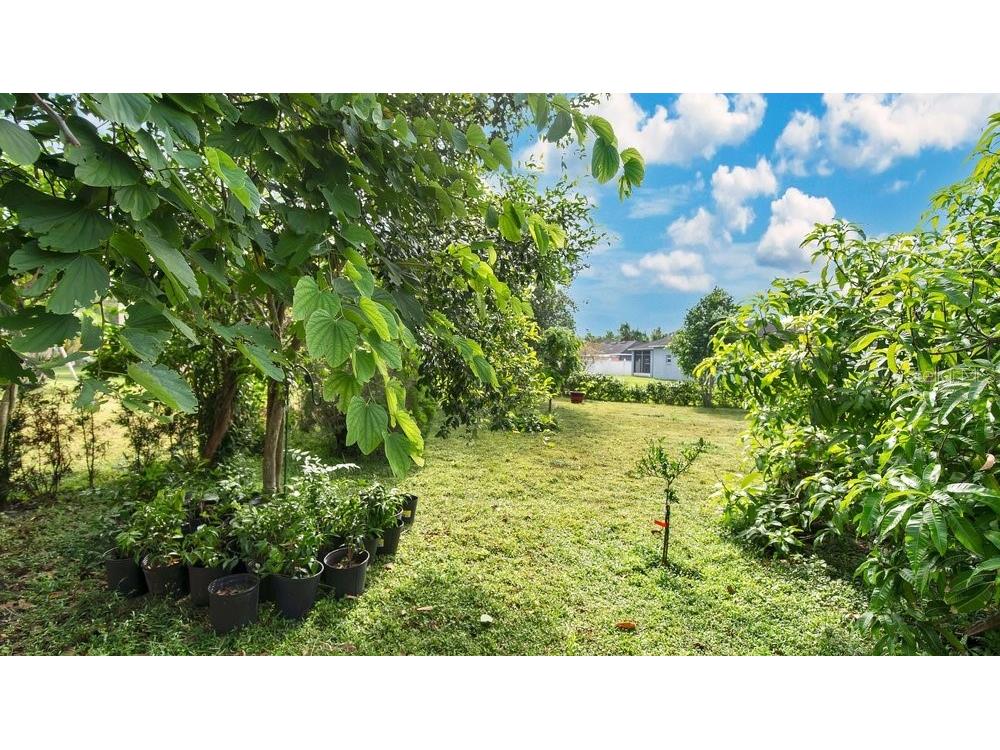 5203 Jasmine Trace Lane Kissimmee FL 34758 O6313316 image26