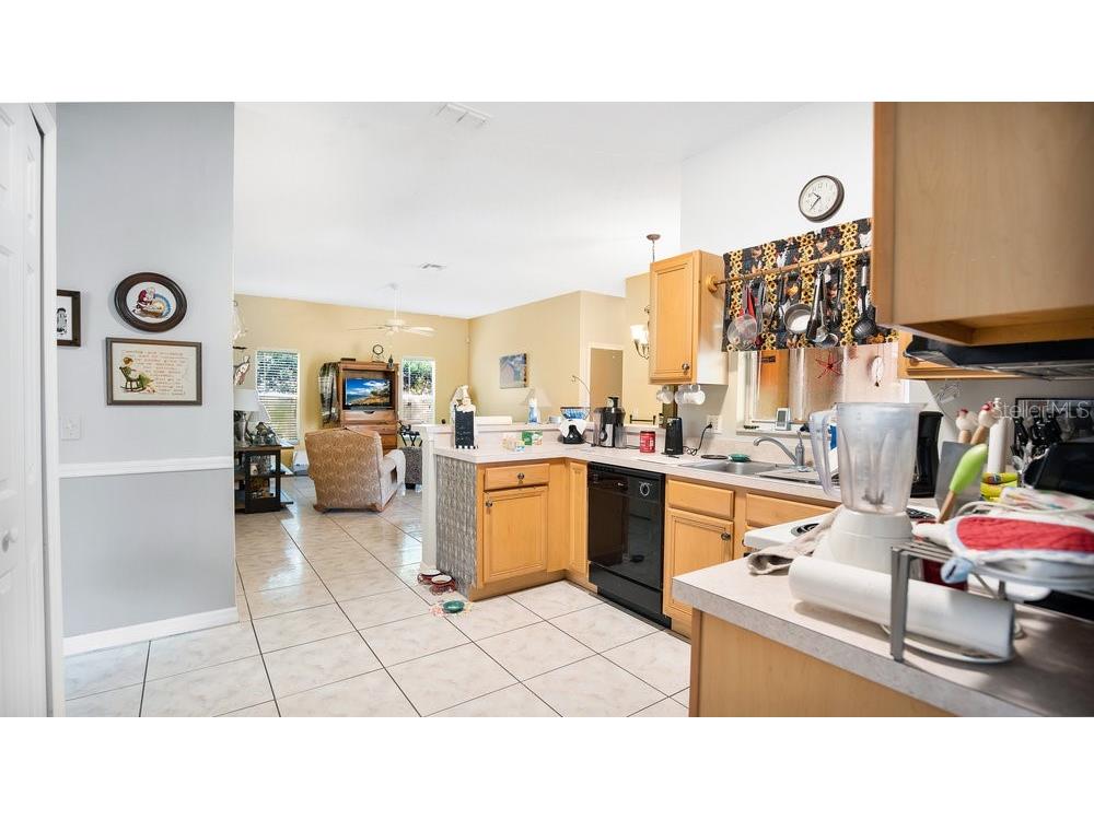 5203 Jasmine Trace Lane Kissimmee FL 34758 O6403135 image8
