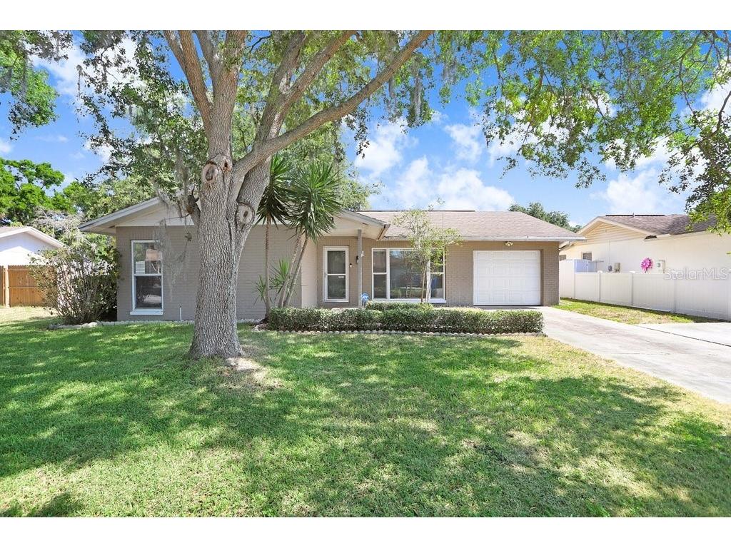 5203 Landsman Avenue Tampa FL 33625 T3531664 image1