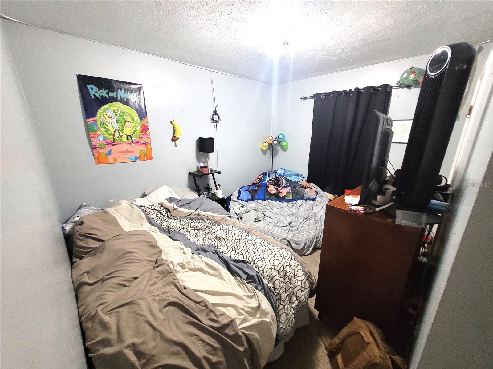 5203 Presidential Street Seffner FL 33584 TB8494128 image11