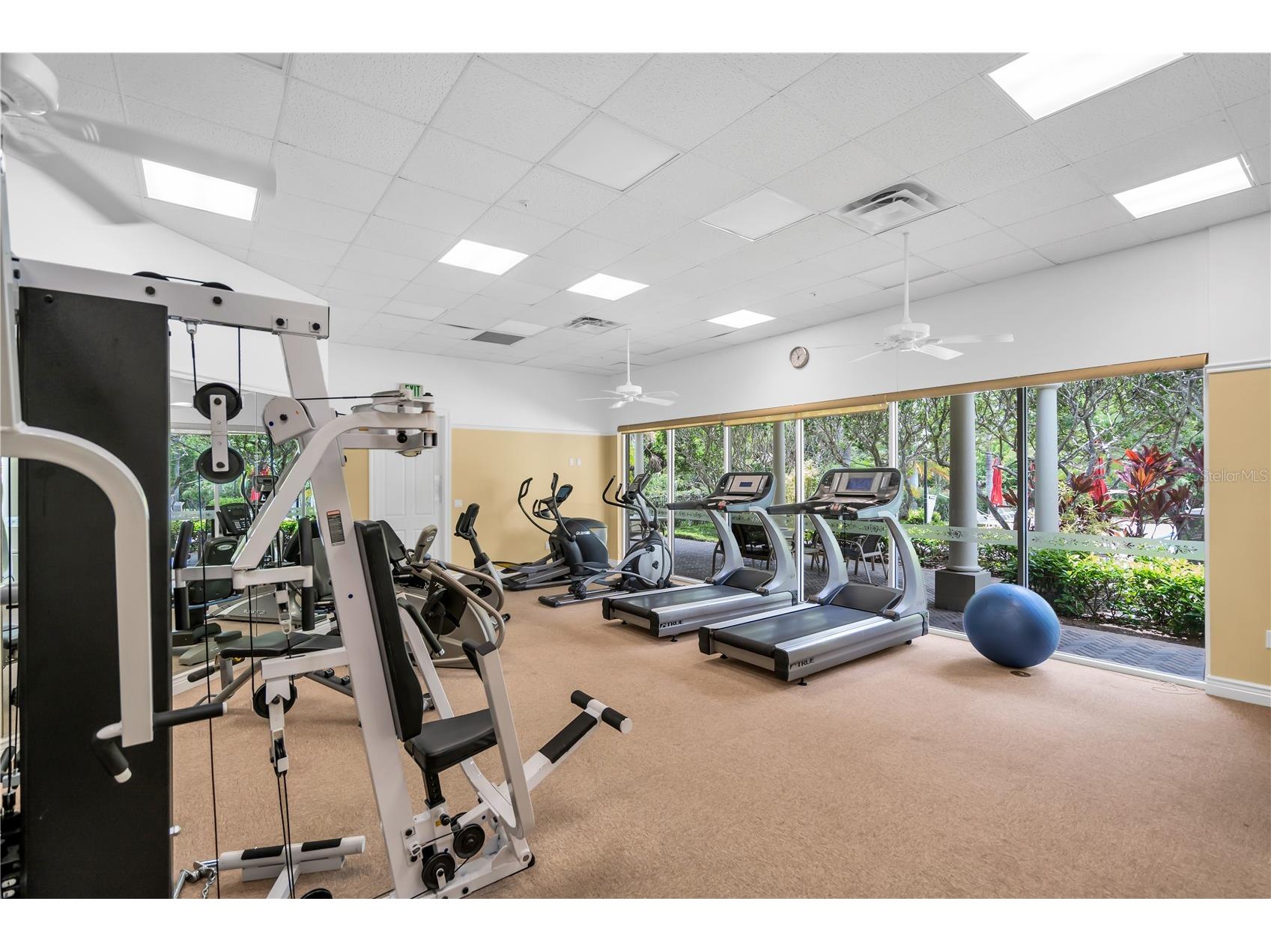 5204 Bouchard Circle #102 Sarasota FL 34238 A4697211 image36