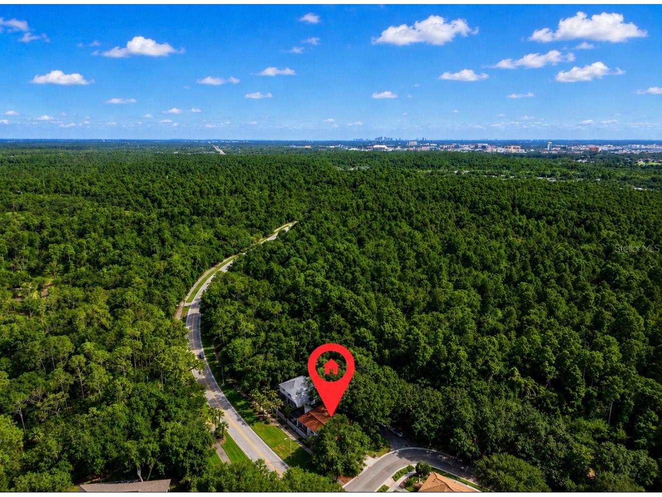 5204 Green Forest Court Tampa FL 33647 TB8520236 image40