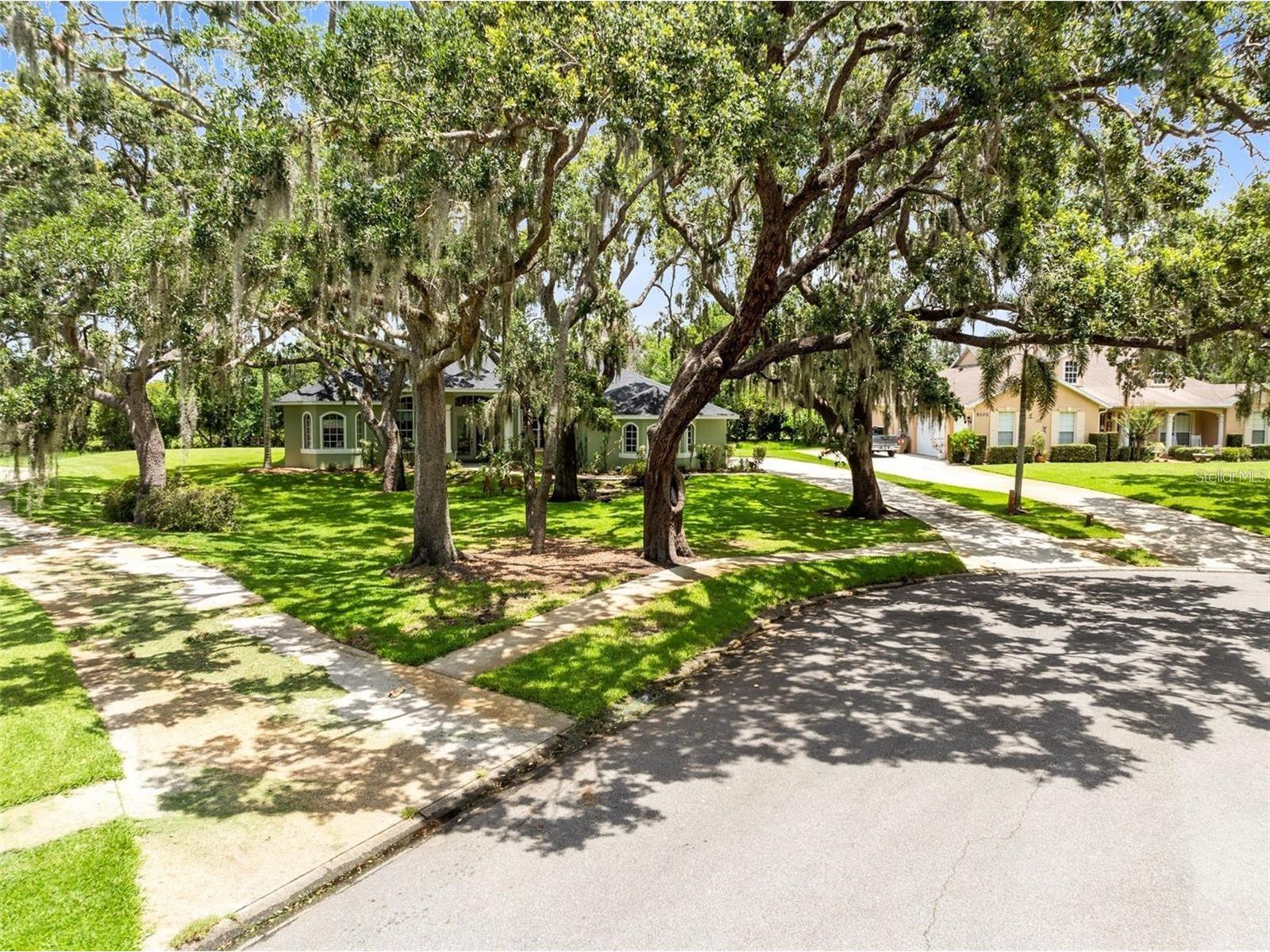 5204 Hammock Pointe Court Saint Cloud FL 34771 S5144635 image4