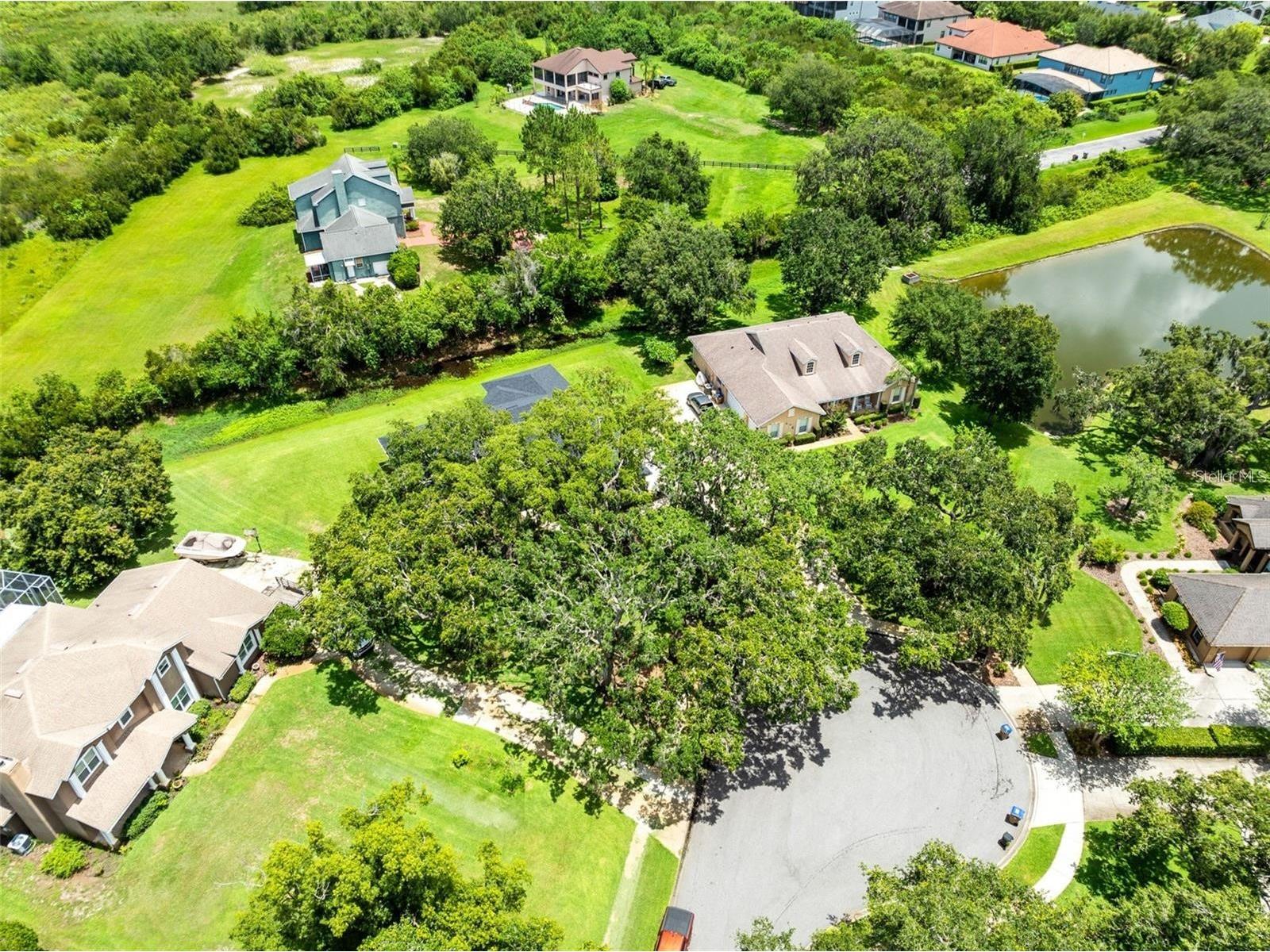 5204 Hammock Pointe Court Saint Cloud FL 34771 S5144635 image8