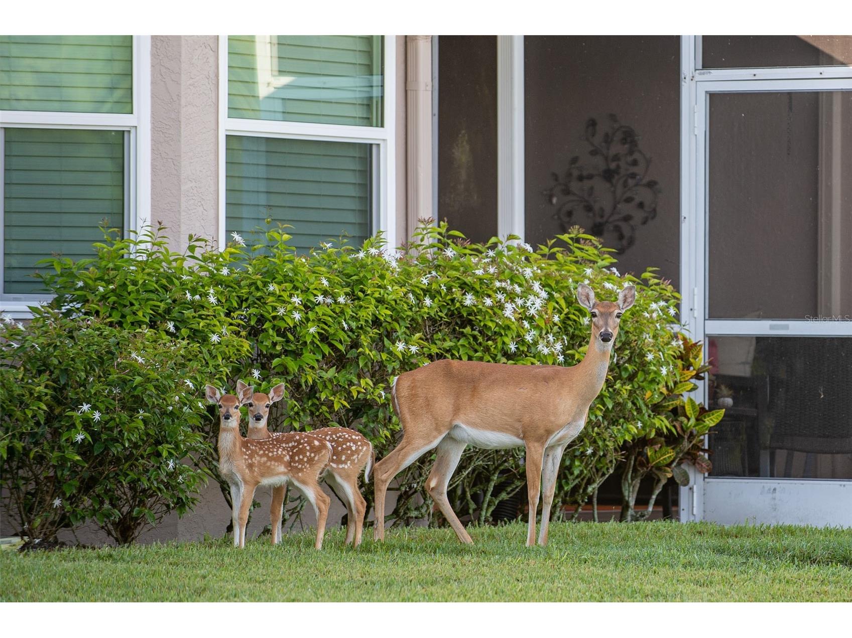 5204 Mahogany Run Avenue Sarasota FL 34241 A4684551 image63