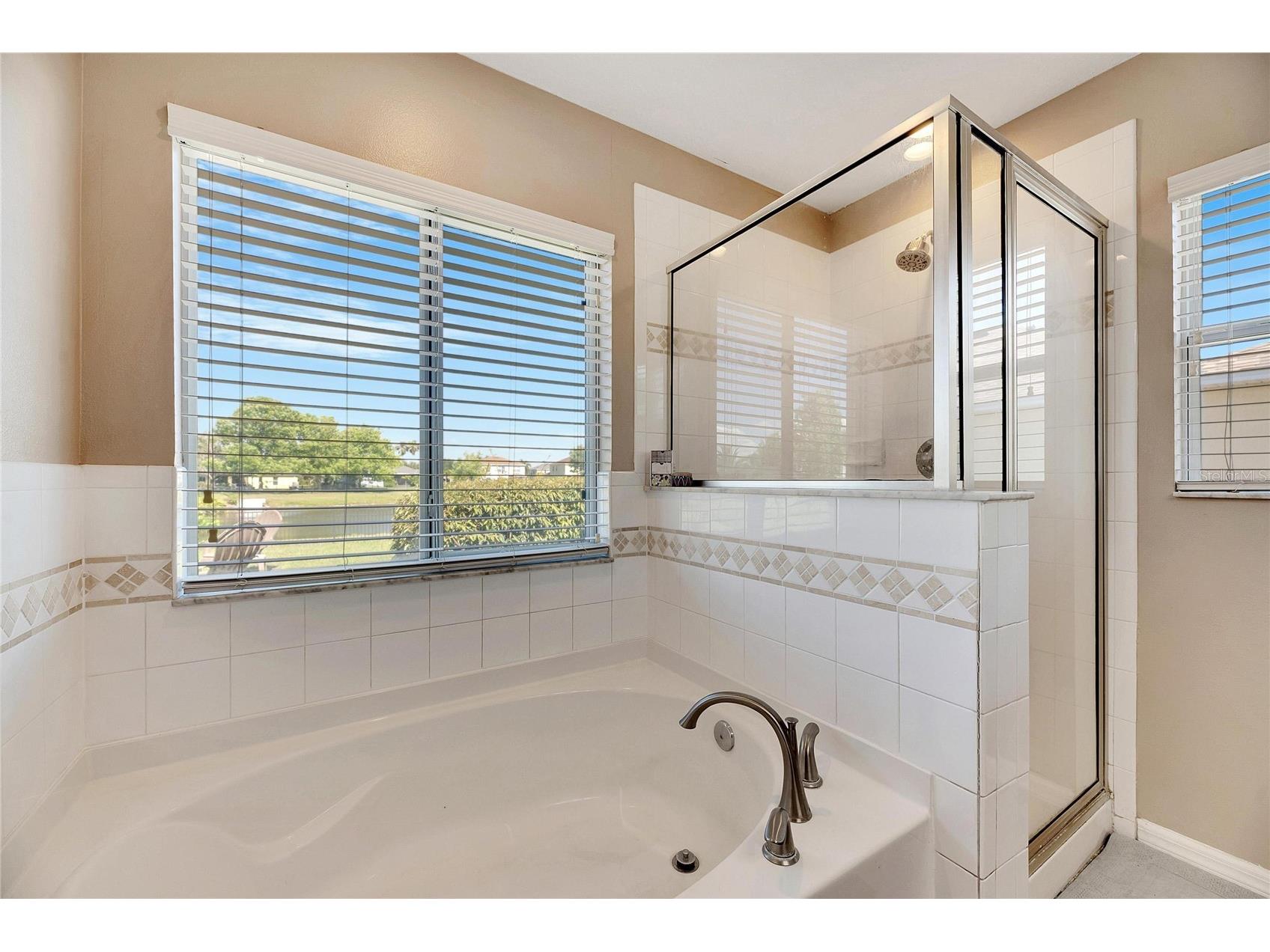 5204 Moon Shell Drive Apollo Beach FL 33572 TB8509125 image28