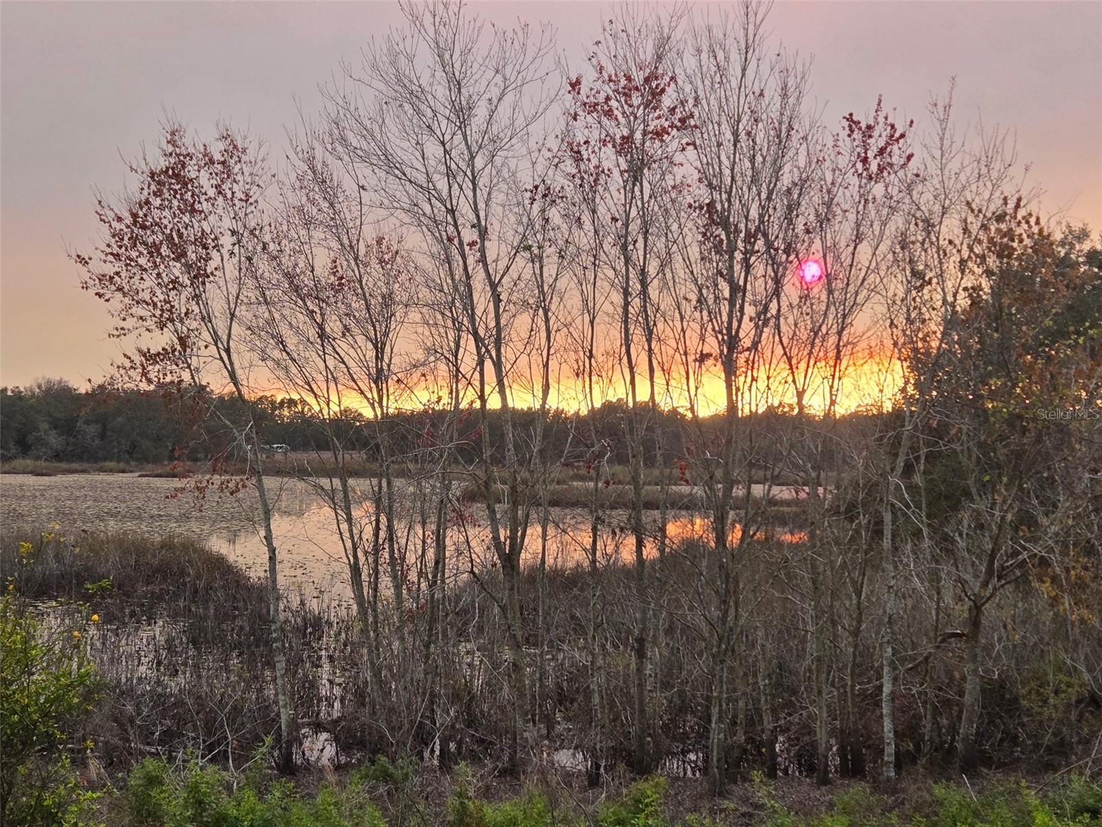 5204 Scotland Court Leesburg FL 34748 G5111220 image48