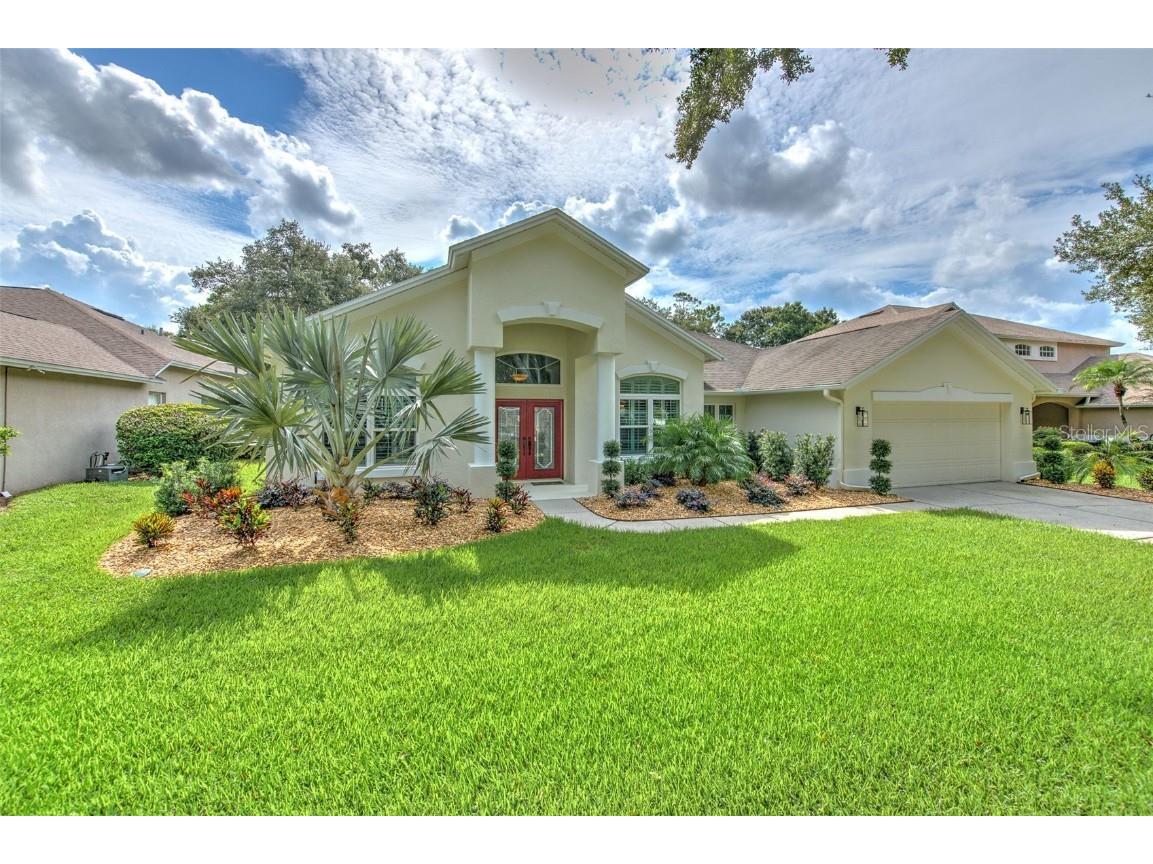 5204 Twin Creeks Drive Valrico FL 33596 T3541617 image1