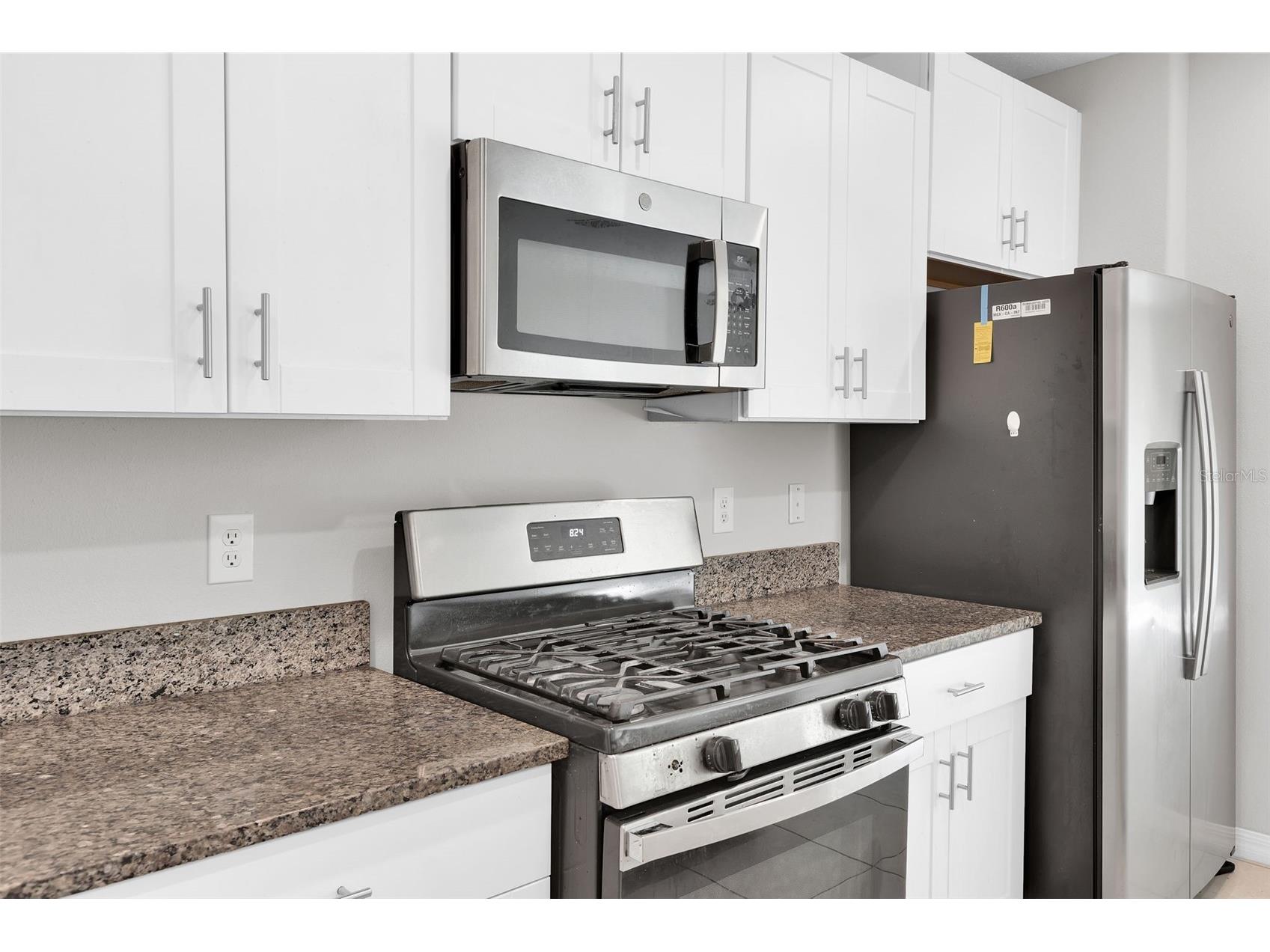 5204 White Chicory Drive Apollo Beach FL 33572 TB8459127 image11