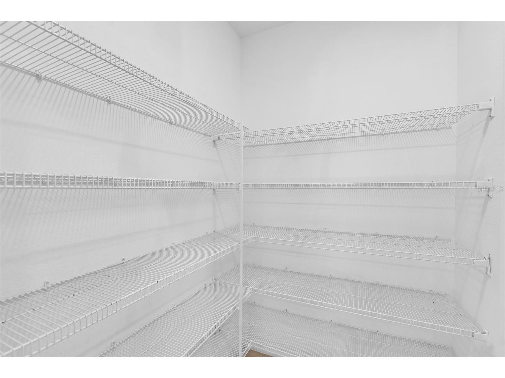 5204 White Chicory Drive Apollo Beach FL 33572 TB8459127 image13