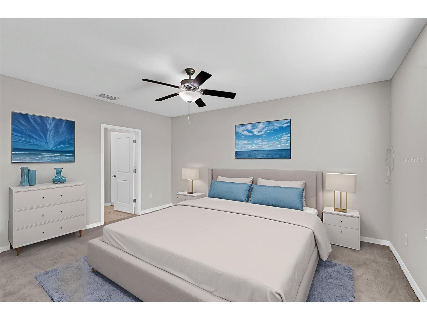 5204 White Chicory Drive Apollo Beach FL 33572 TB8459127 image17