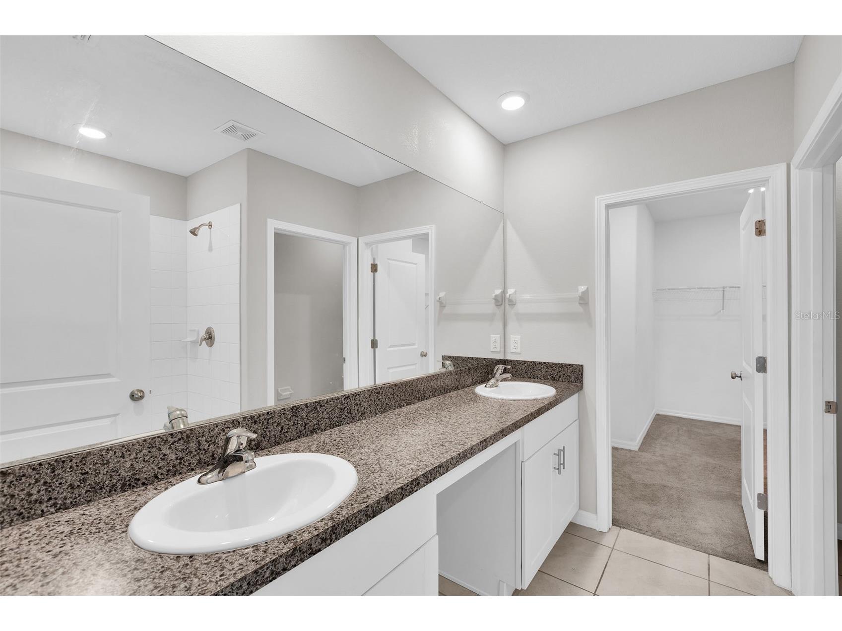 5204 White Chicory Drive Apollo Beach FL 33572 TB8459127 image20