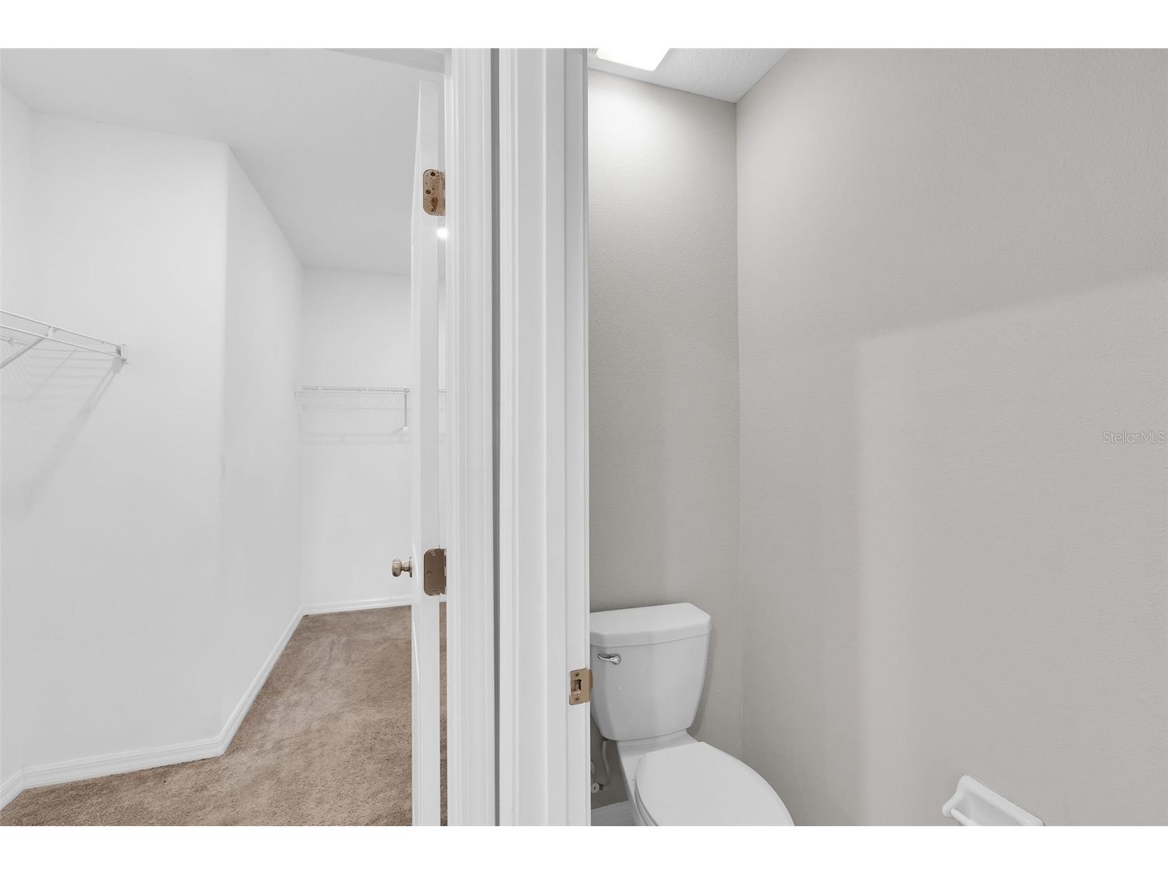 5204 White Chicory Drive Apollo Beach FL 33572 TB8459127 image22