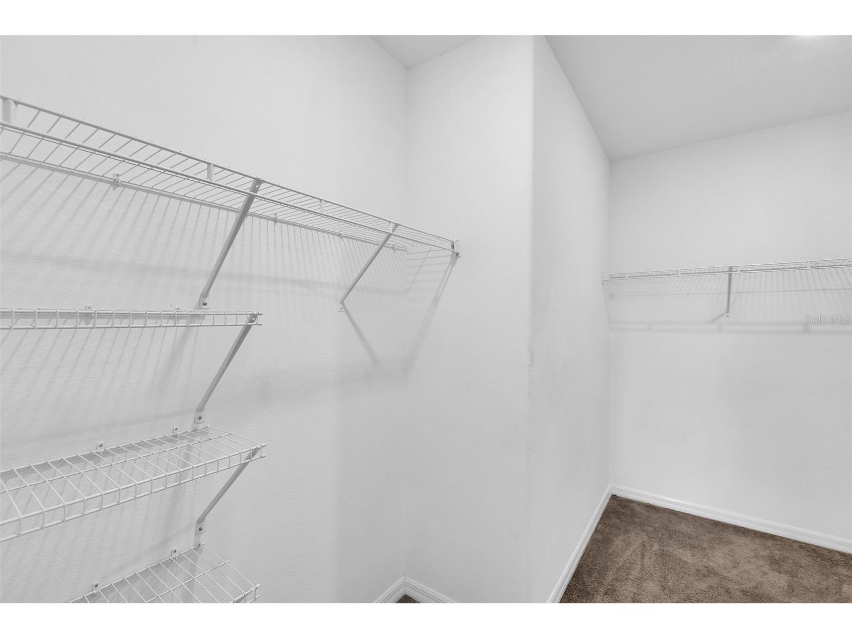 5204 White Chicory Drive Apollo Beach FL 33572 TB8459127 image23