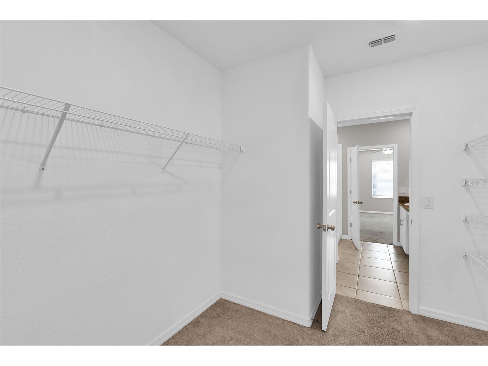 5204 White Chicory Drive Apollo Beach FL 33572 TB8459127 image24