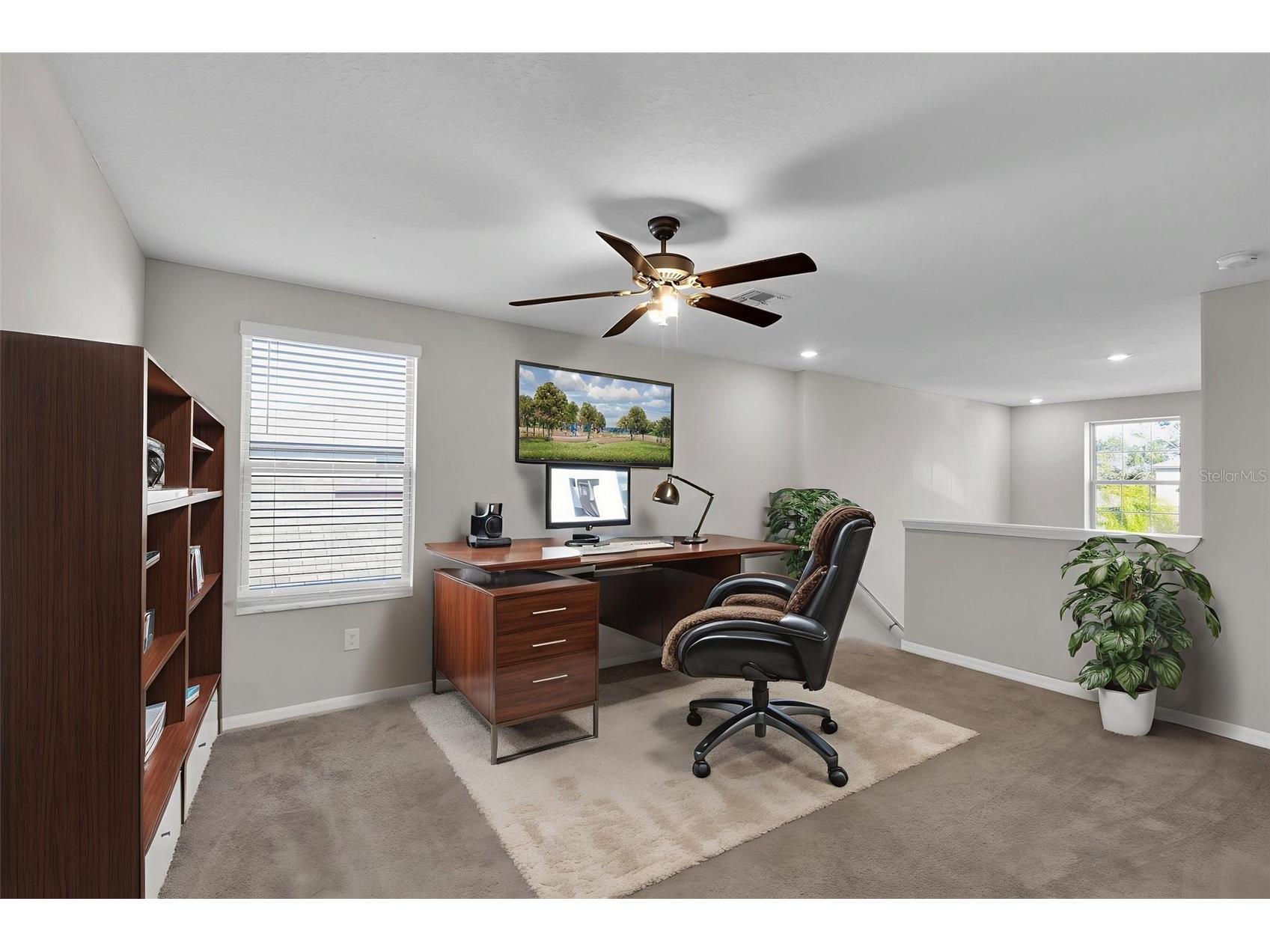 5204 White Chicory Drive Apollo Beach FL 33572 TB8459127 image27