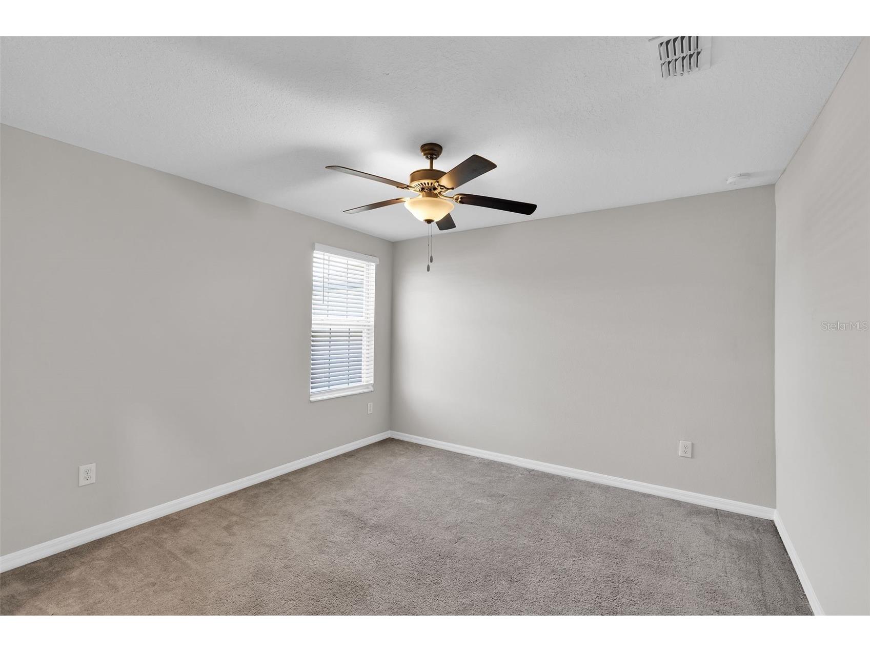 5204 White Chicory Drive Apollo Beach FL 33572 TB8459127 image28