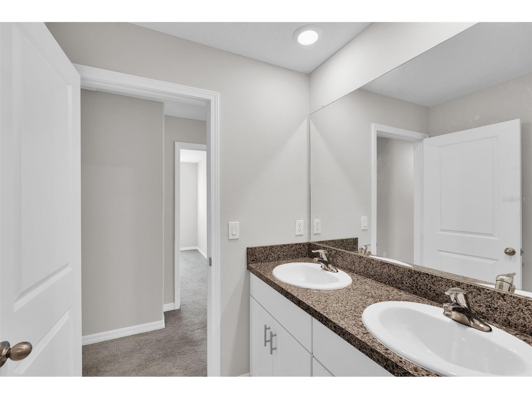5204 White Chicory Drive Apollo Beach FL 33572 TB8459127 image33