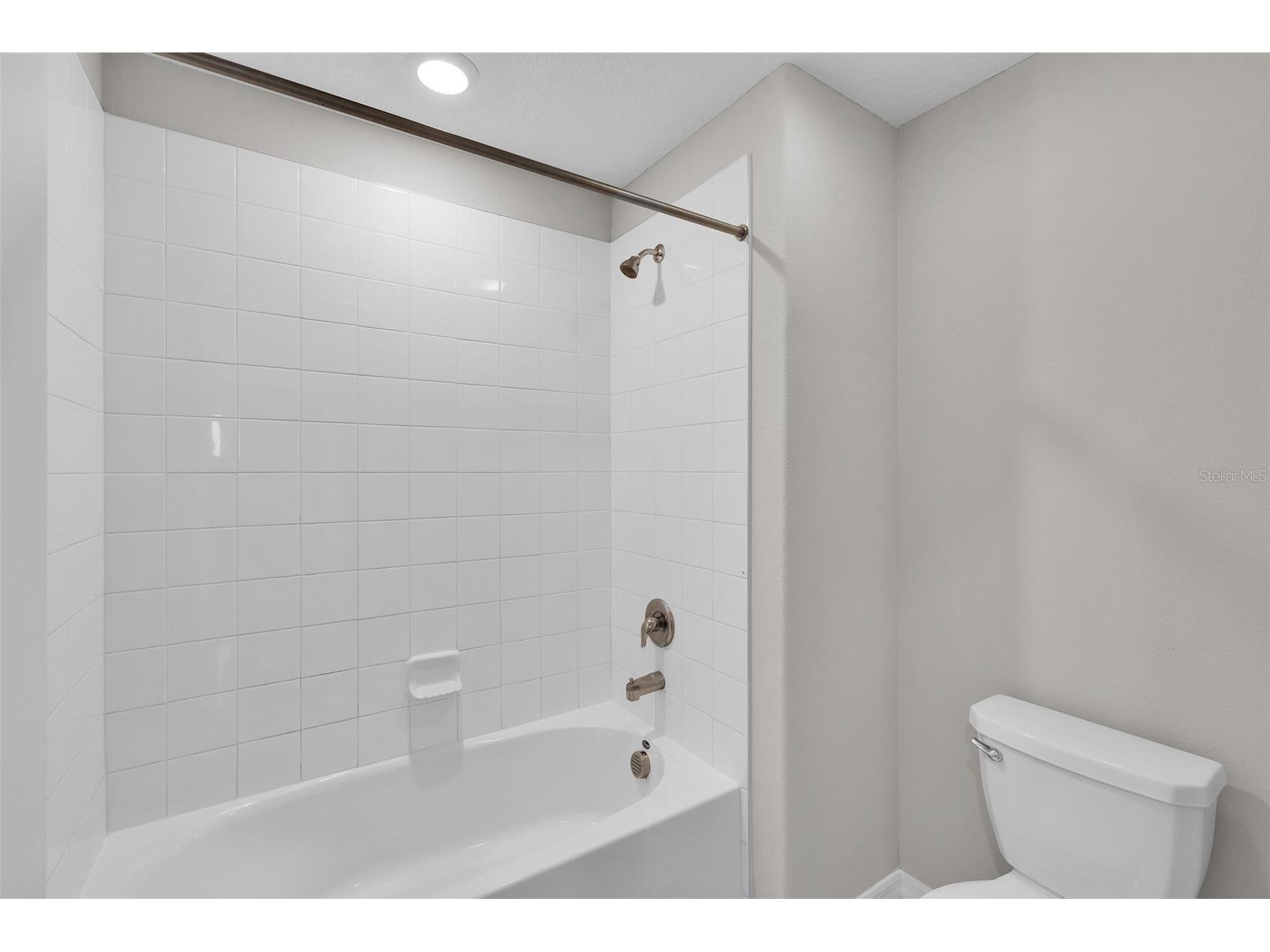 5204 White Chicory Drive Apollo Beach FL 33572 TB8459127 image34