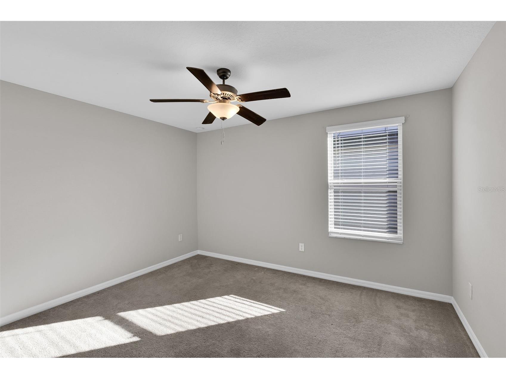 5204 White Chicory Drive Apollo Beach FL 33572 TB8459127 image35