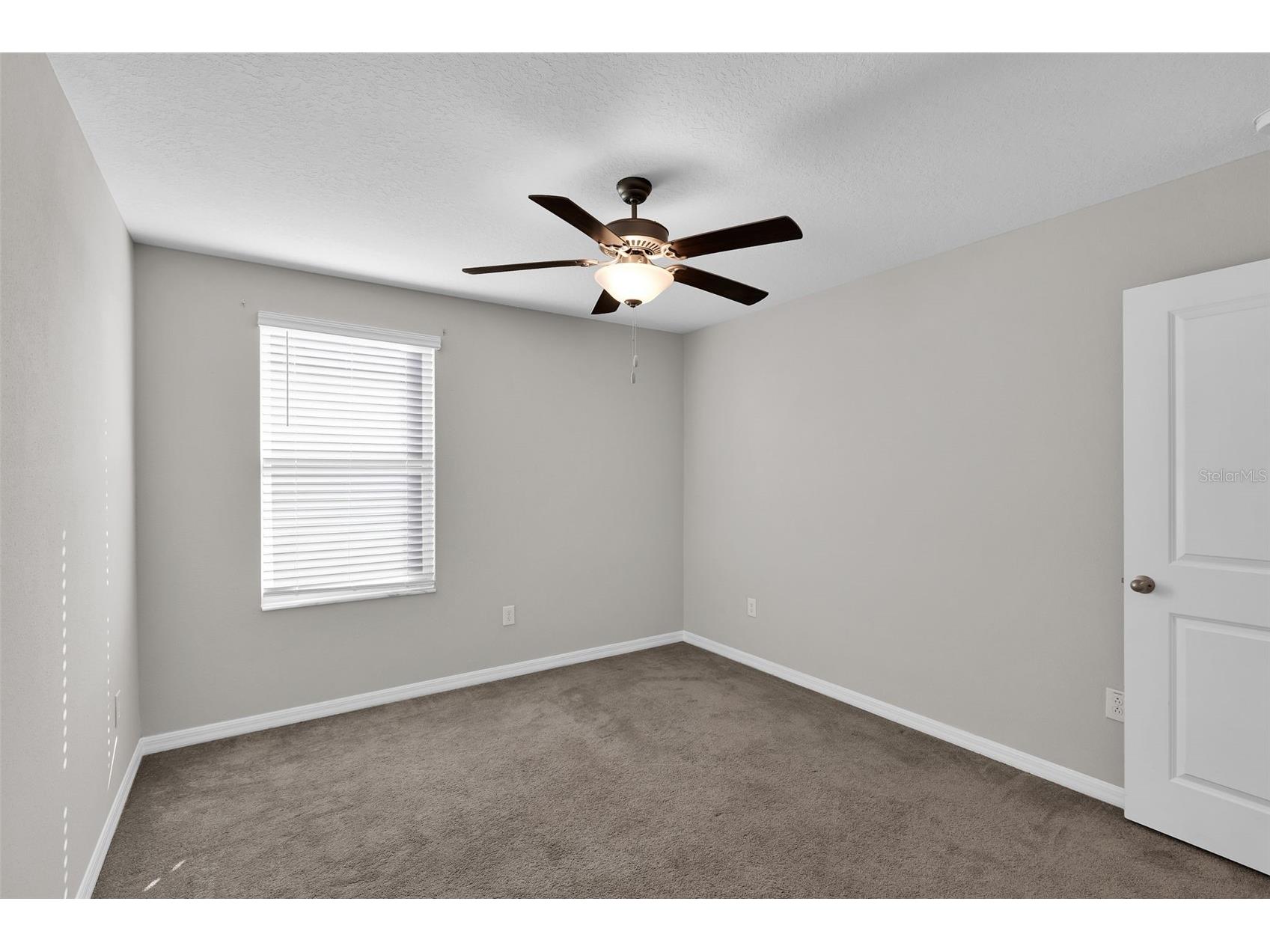 5204 White Chicory Drive Apollo Beach FL 33572 TB8459127 image41