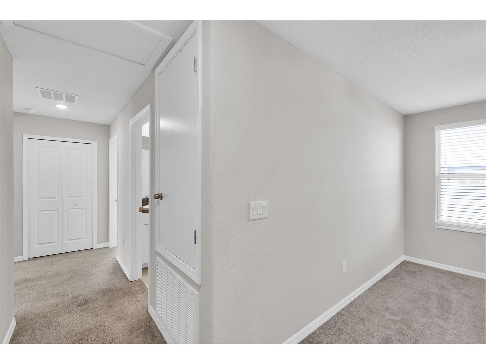 5204 White Chicory Drive Apollo Beach FL 33572 TB8459127 image45