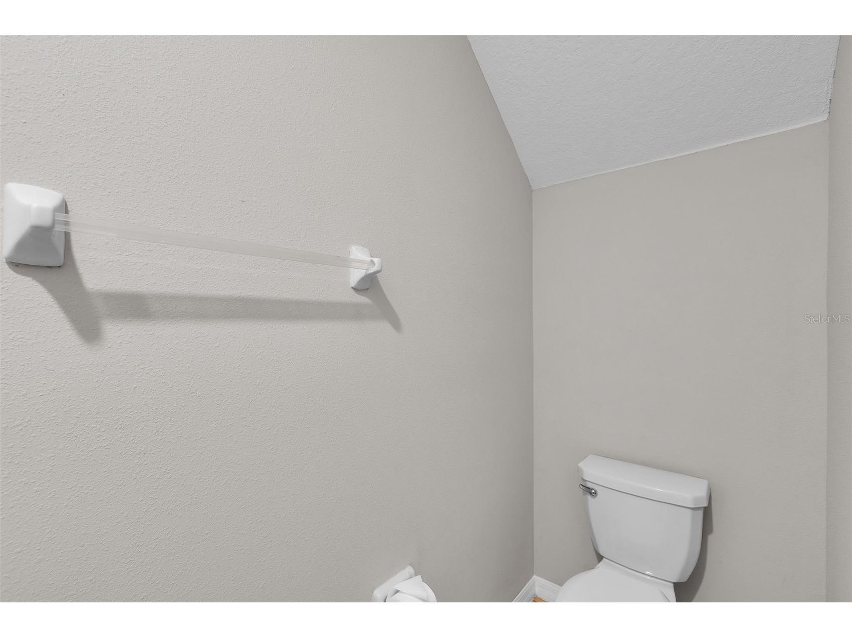 5204 White Chicory Drive Apollo Beach FL 33572 TB8459127 image48