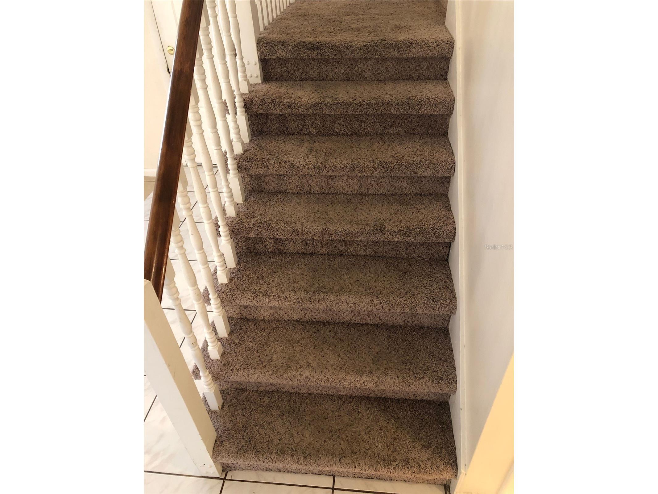 5205 Dublin Place Tampa FL 33624 TB8523013 image14