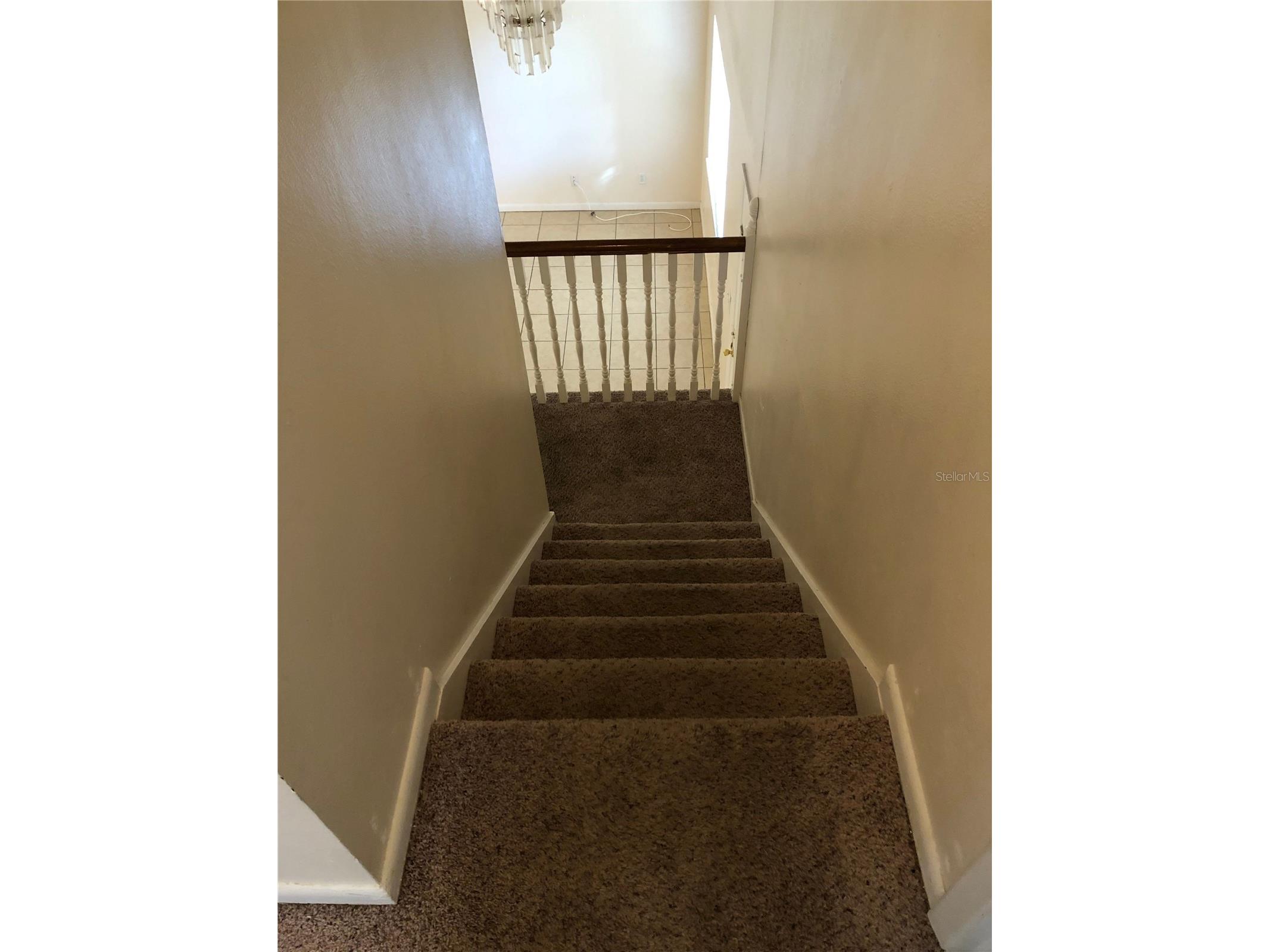 5205 Dublin Place Tampa FL 33624 TB8523013 image15