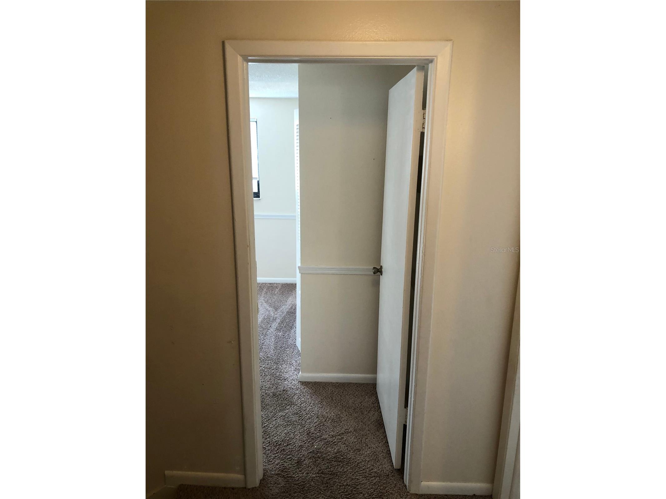 5205 Dublin Place Tampa FL 33624 TB8523013 image16