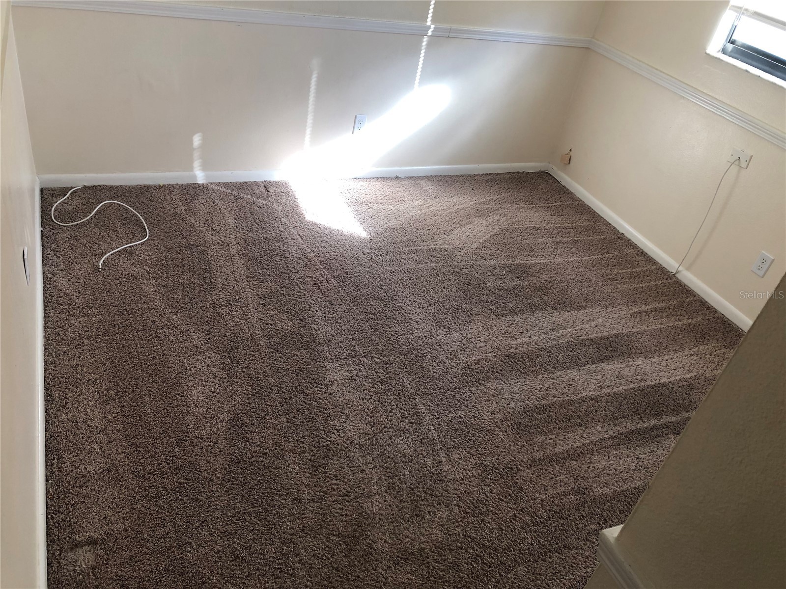 5205 Dublin Place Tampa FL 33624 TB8523013 image17