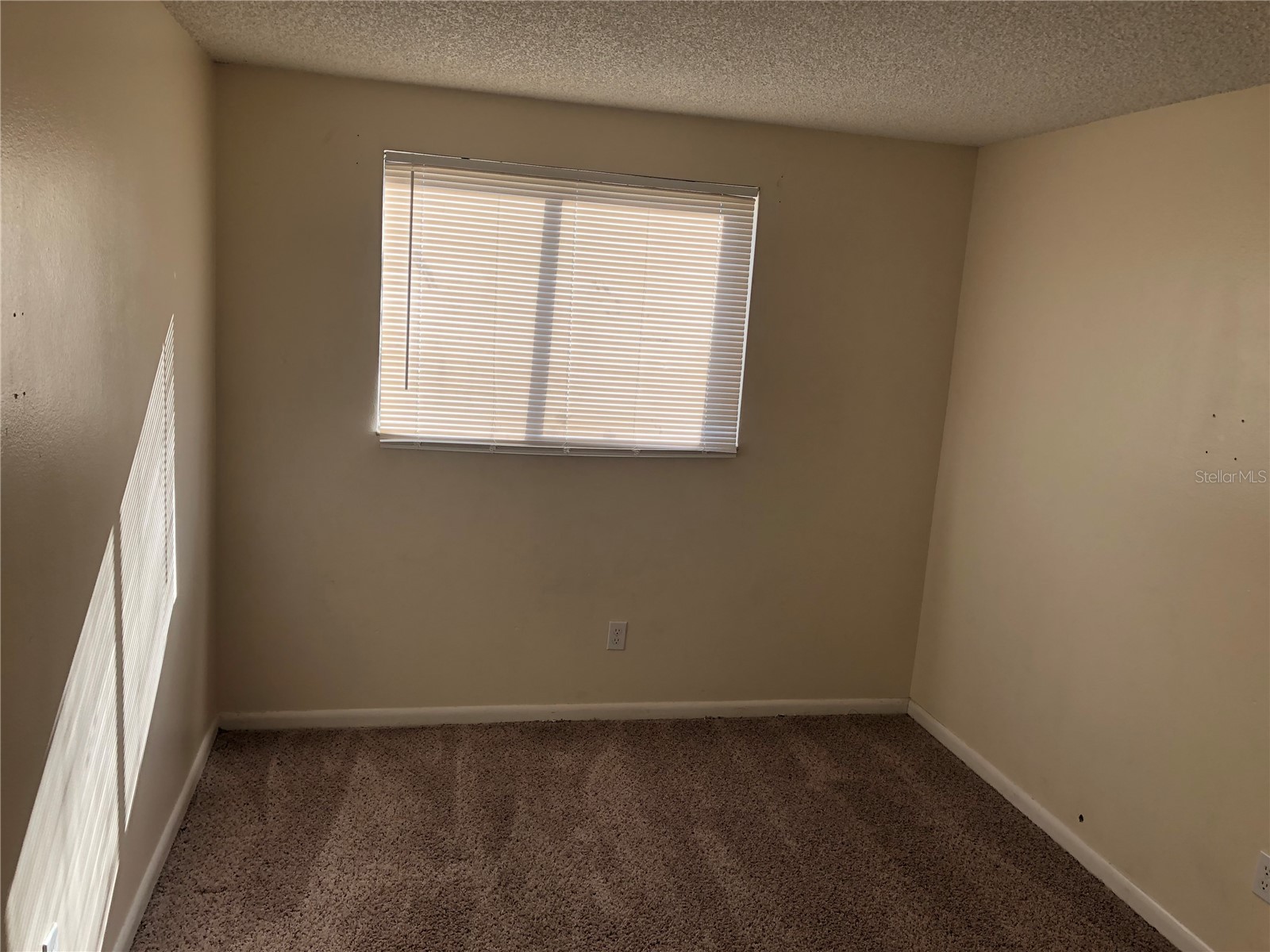 5205 Dublin Place Tampa FL 33624 TB8523013 image19