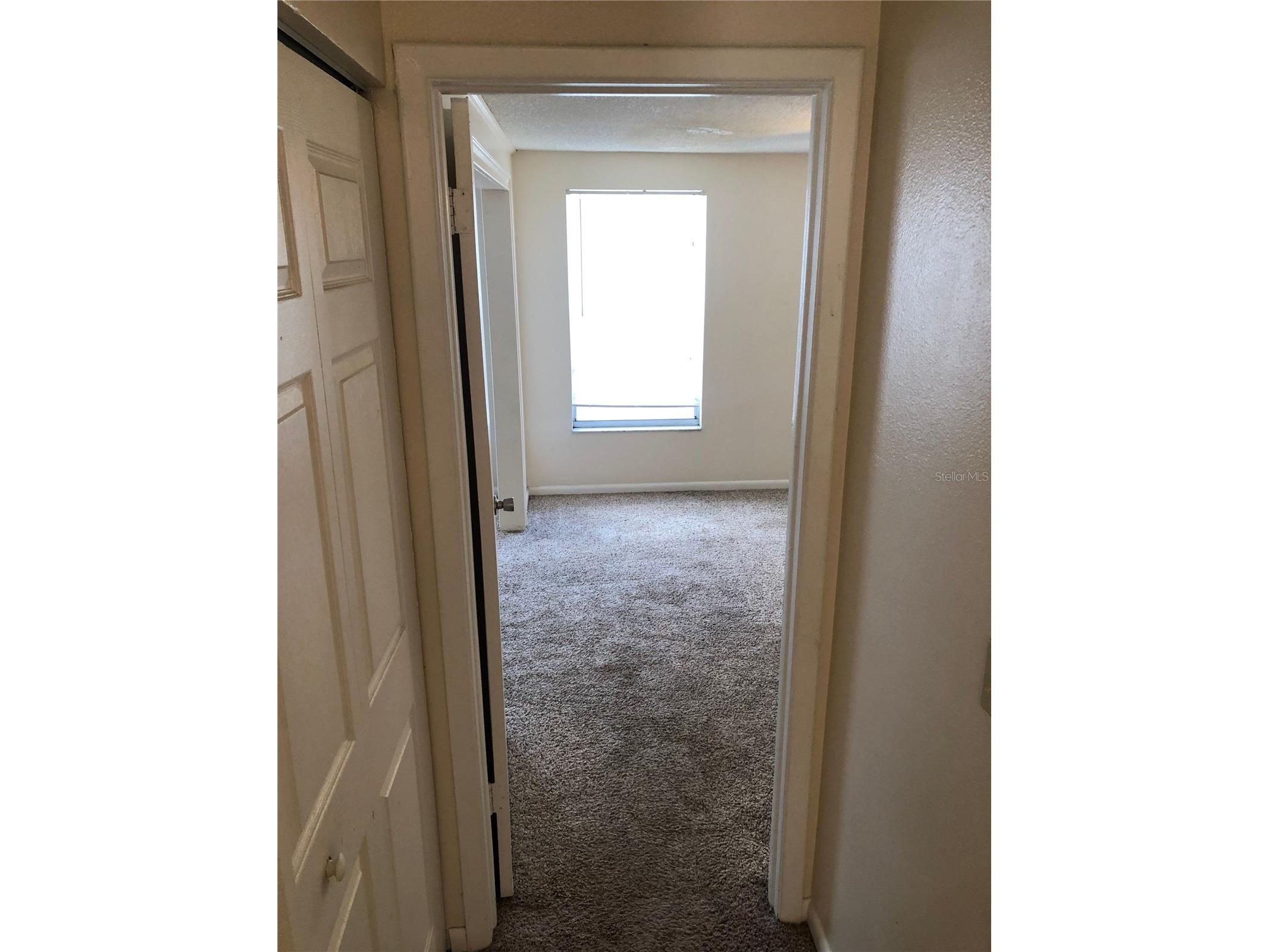 5205 Dublin Place Tampa FL 33624 TB8523013 image20