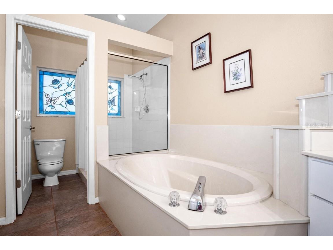 5205 Fairway One Drive Valrico FL 33596 TB8391656 image20