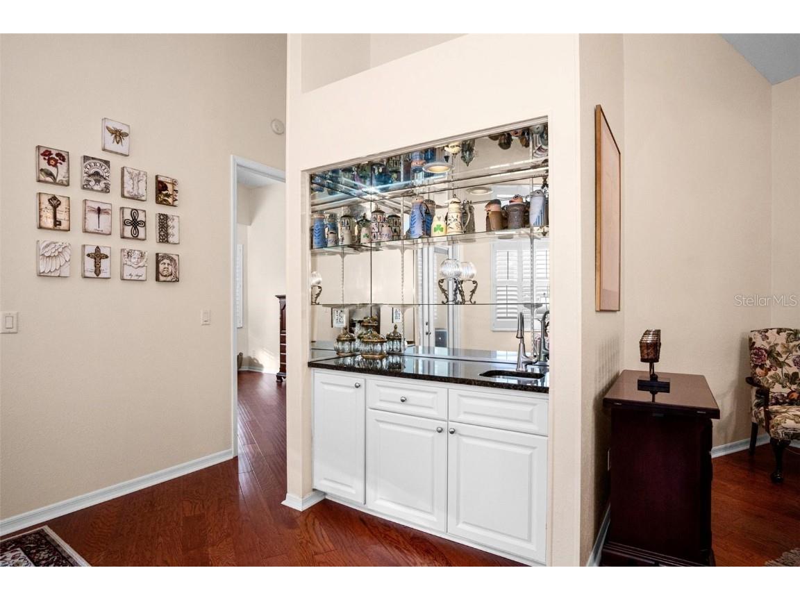 5205 Fairway One Drive Valrico FL 33596 TB8391656 image26