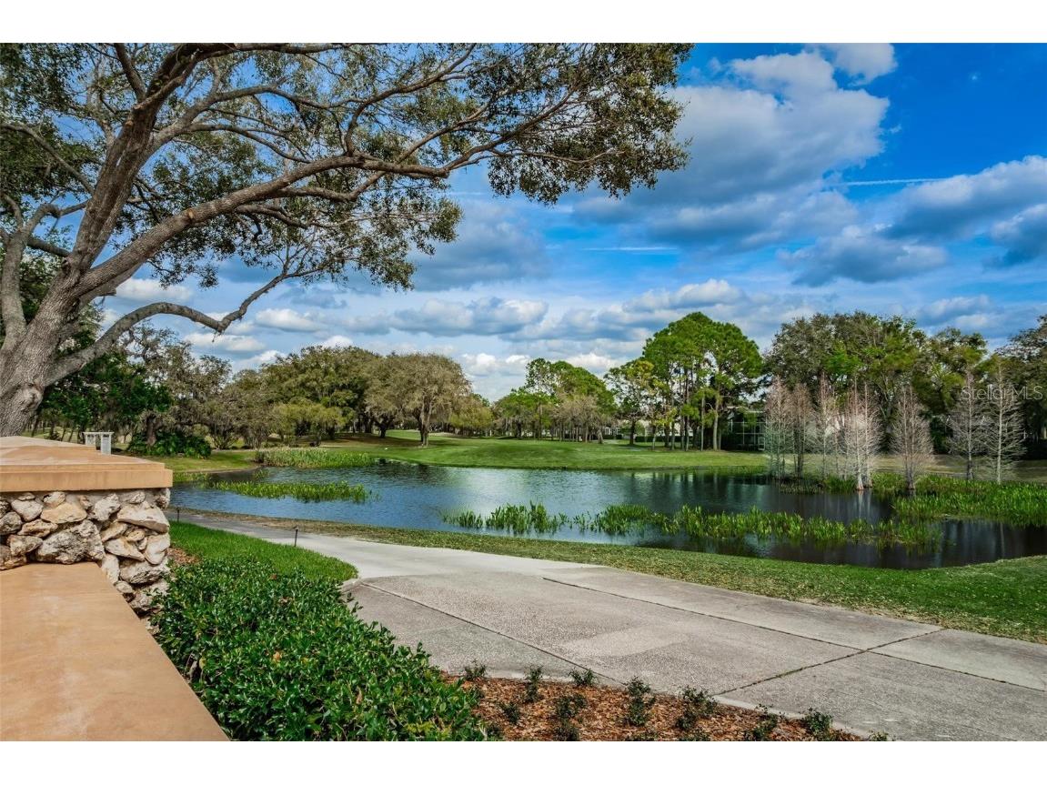 5205 Fairway One Drive Valrico FL 33596 TB8391656 image29