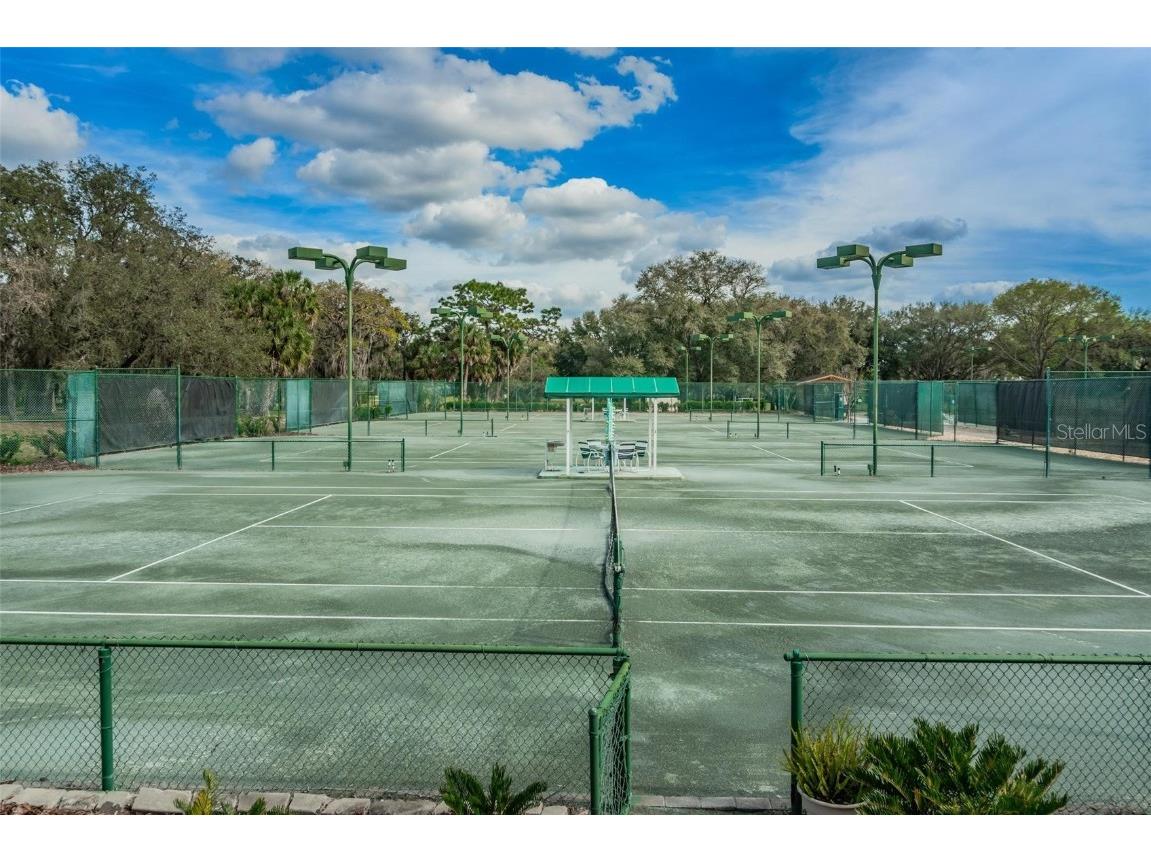 5205 Fairway One Drive Valrico FL 33596 TB8391656 image31