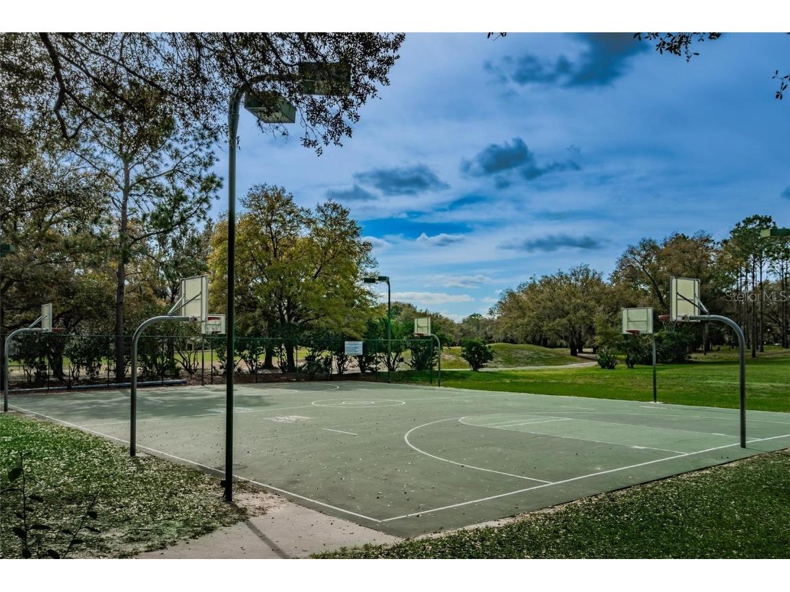 5205 Fairway One Drive Valrico FL 33596 TB8391656 image32